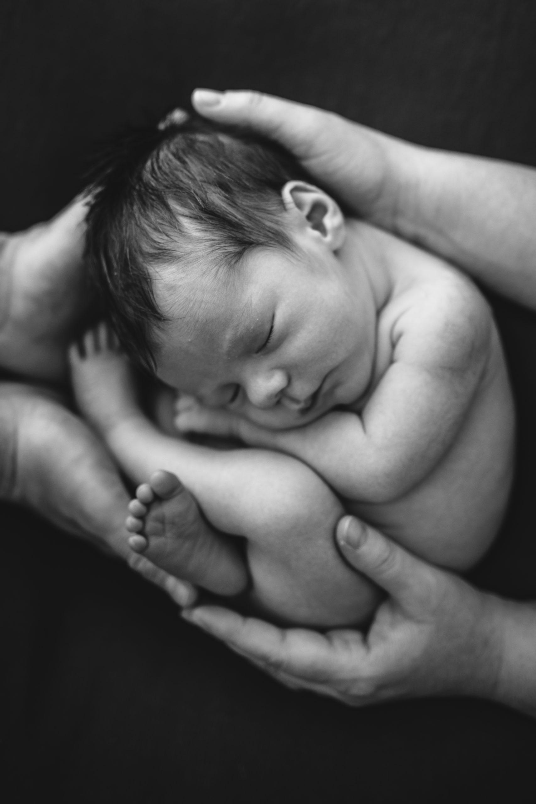 Giulia Verrastro Photography